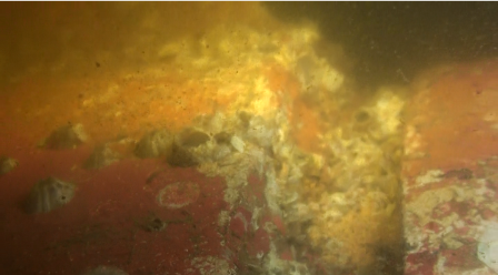 image001.png