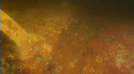image003.png