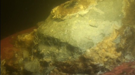 image005.png