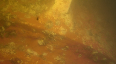 image007.png