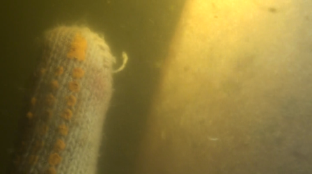 image017.png