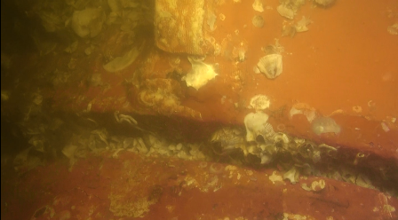image025.png