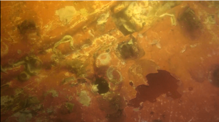 image031.png
