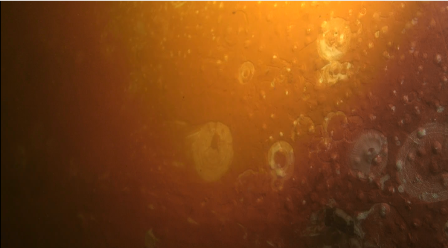 image033.png