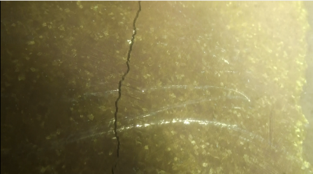 image041.png